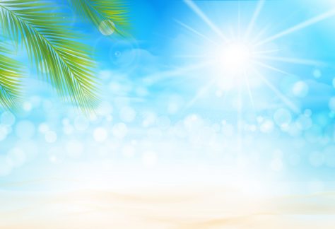 Coconut leaf and the sand beach over blur sea and sky with sunlight flare and copy space abstract background .Vector illustration